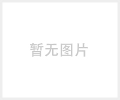 DATALOGIC安全光幕